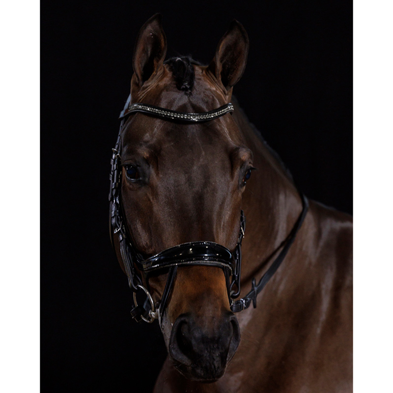 Schockemohle Equitus Beta Glam Bridle - Black/Patent/Silver-2